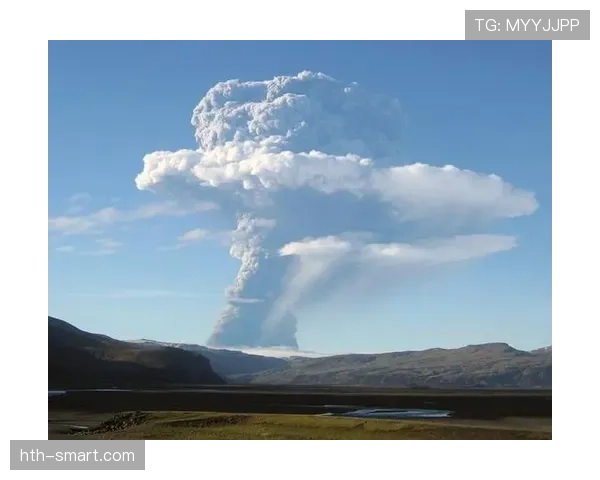 冰岛主帅哈格里姆松:团队精神与战术执行力成球队竞争力关键