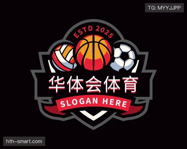 概述华体会官网